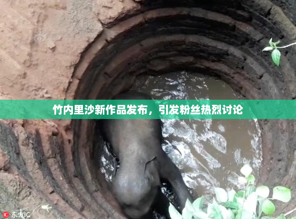 竹内里沙新作品发布，引发粉丝热烈讨论