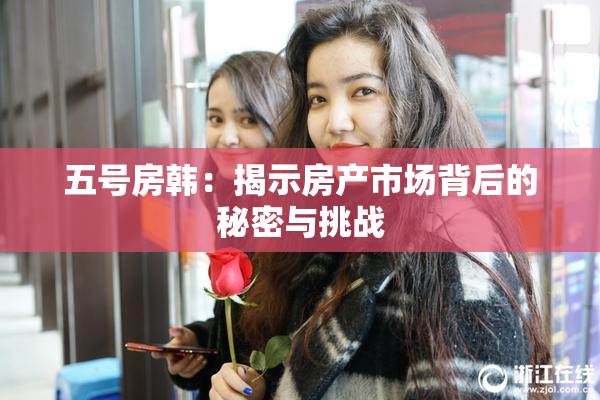 五号房韩：揭示房产市场背后的秘密与挑战