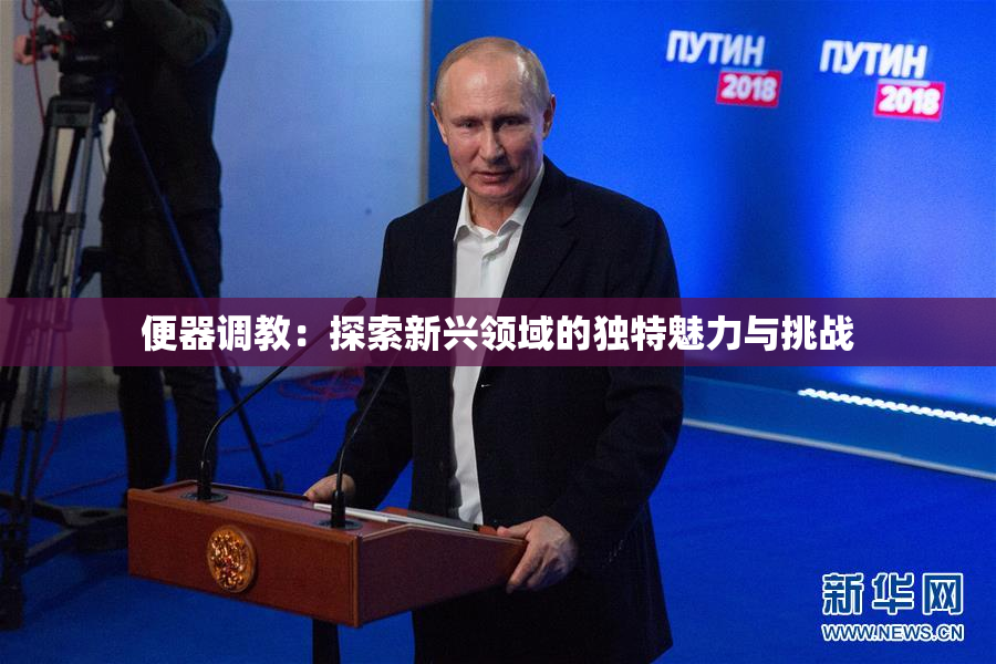 便器调教：探索新兴领域的独特魅力与挑战