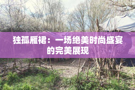 独孤雁裙：一场绝美时尚盛宴的完美展现