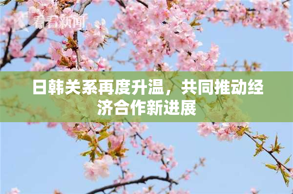 日韩关系再度升温，共同推动经济合作新进展