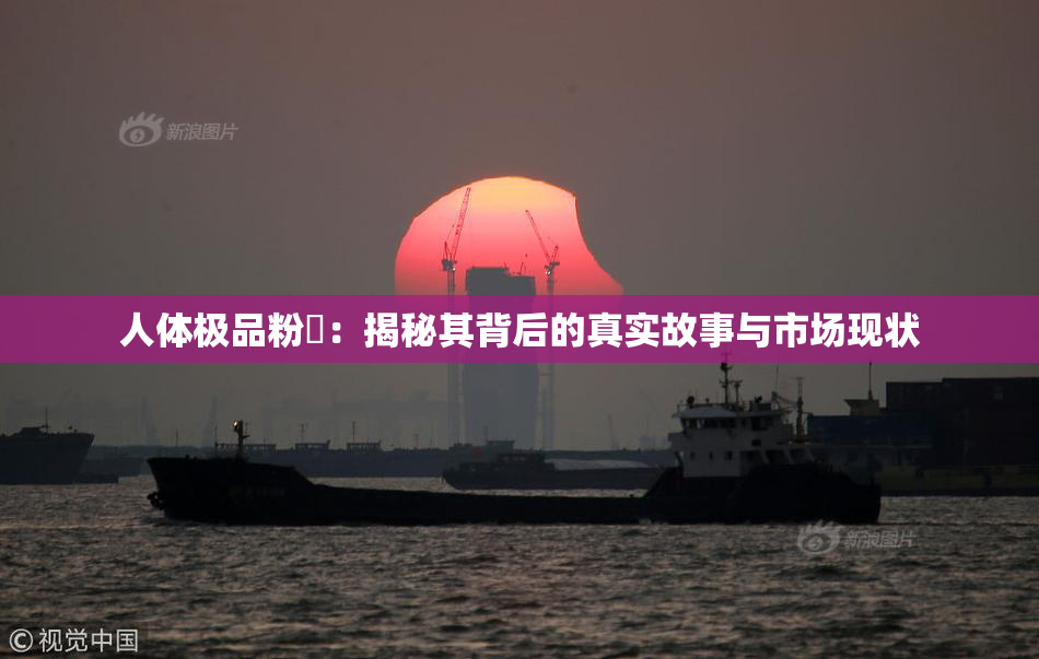 人体极品粉鮑：揭秘其背后的真实故事与市场现状