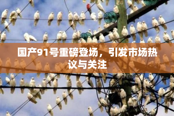 国产91号重磅登场，引发市场热议与关注