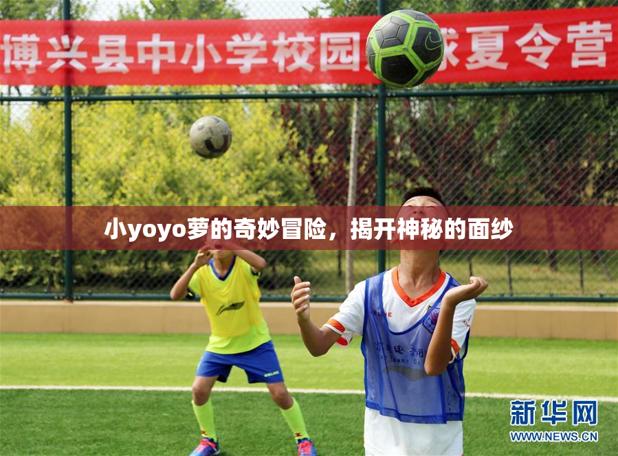 小yoyo萝的奇妙冒险，揭开神秘的面纱