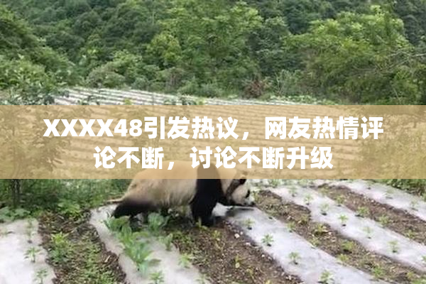 XXXX48引发热议，网友热情评论不断，讨论不断升级