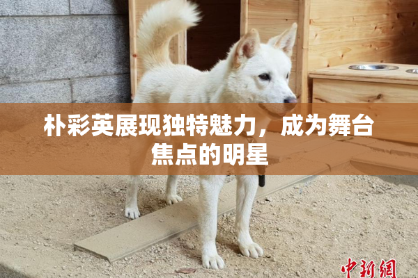 朴彩英展现独特魅力，成为舞台焦点的明星