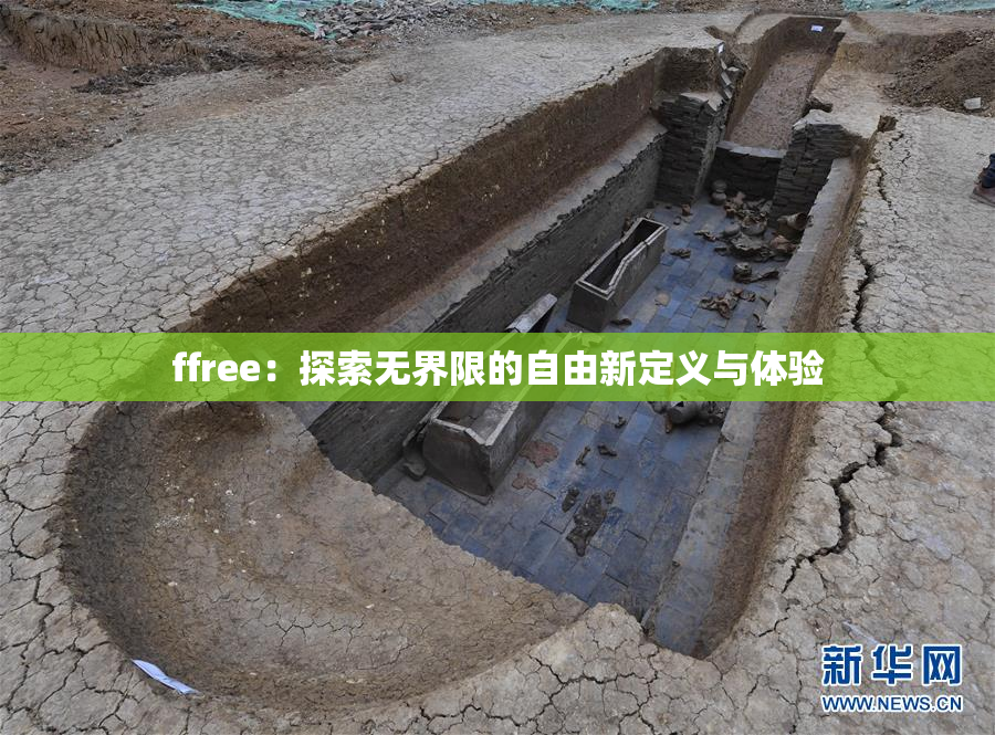 ffree：探索无界限的自由新定义与体验