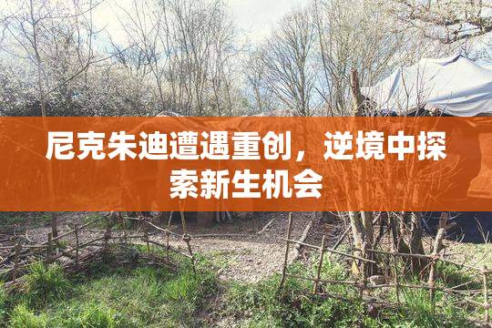 尼克朱迪遭遇重创，逆境中探索新生机会