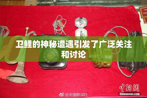 卫鲤的神秘遭遇引发了广泛关注和讨论