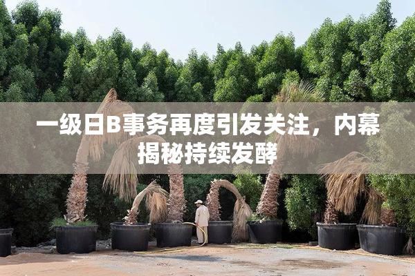 一级日B事务再度引发关注，内幕揭秘持续发酵