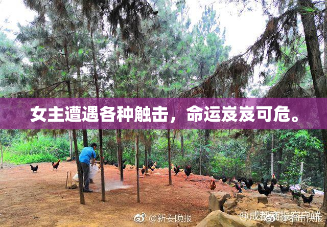 女主遭遇各种触击，命运岌岌可危。