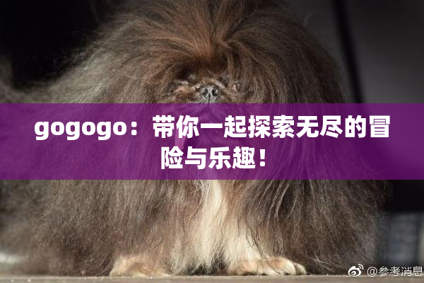 gogogo：带你一起探索无尽的冒险与乐趣！
