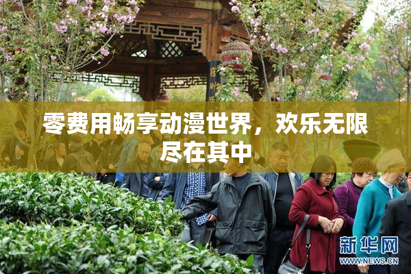 零费用畅享动漫世界，欢乐无限尽在其中
