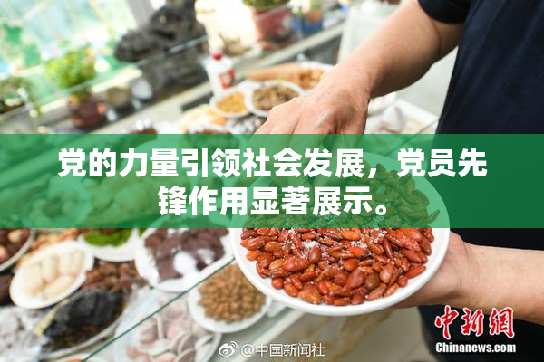 党的力量引领社会发展，党员先锋作用显著展示。