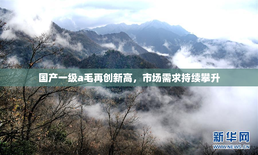国产一级a毛再创新高，市场需求持续攀升