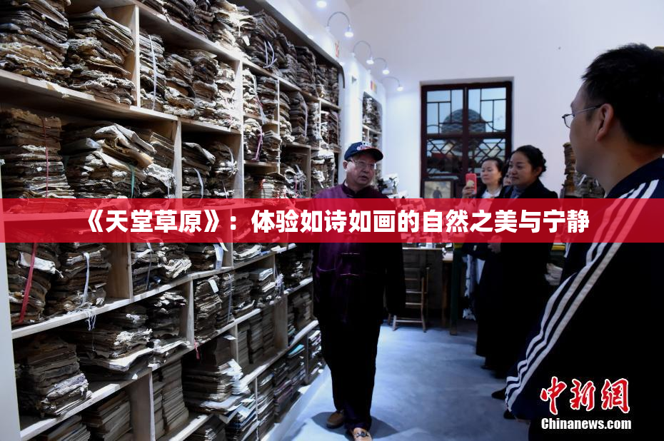 《天堂草原》：体验如诗如画的自然之美与宁静