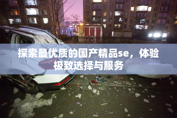 探索最优质的国产精品se，体验极致选择与服务