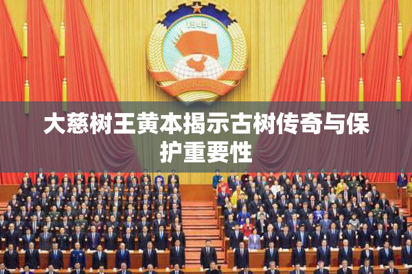 大慈树王黄本揭示古树传奇与保护重要性