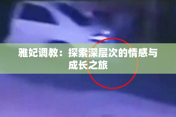 雅妃调教：探索深层次的情感与成长之旅