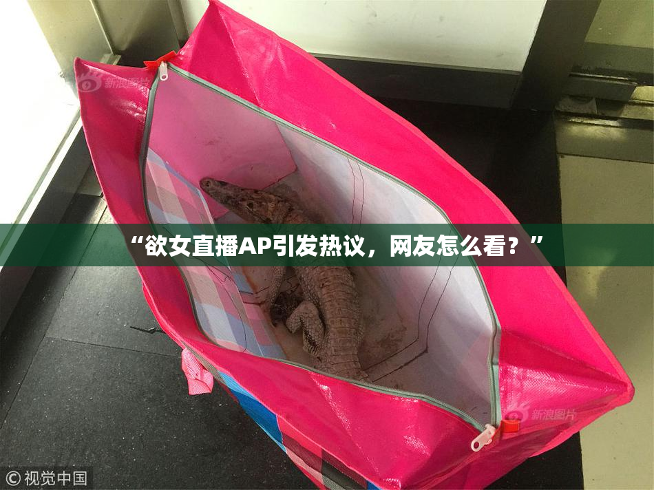 “欲女直播AP引发热议，网友怎么看？”