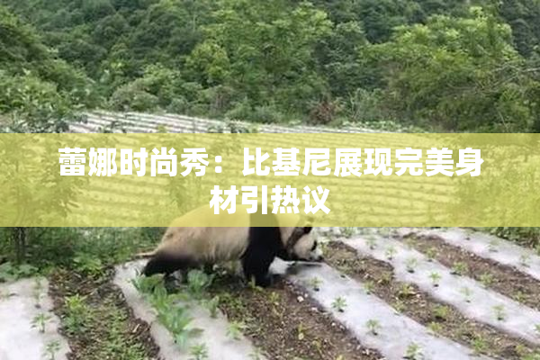 蕾娜时尚秀：比基尼展现完美身材引热议