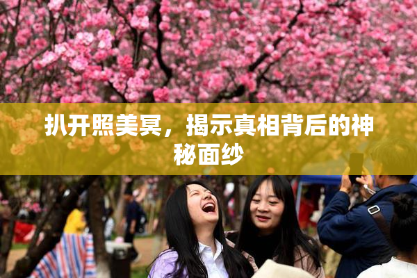 扒开照美冥，揭示真相背后的神秘面纱
