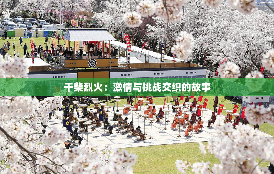 干柴烈火：激情与挑战交织的故事