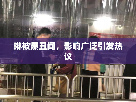琳被爆丑闻，影响广泛引发热议