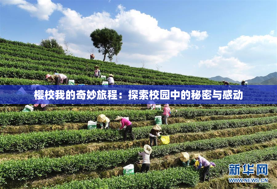 樱校我的奇妙旅程：探索校园中的秘密与感动