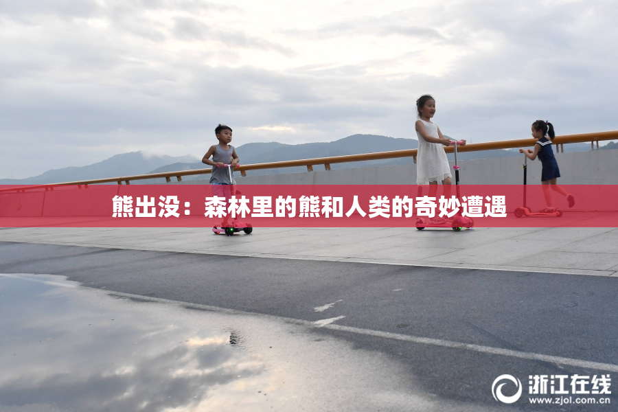 熊出没：森林里的熊和人类的奇妙遭遇