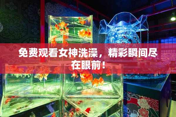 免费观看女神洗澡，精彩瞬间尽在眼前！