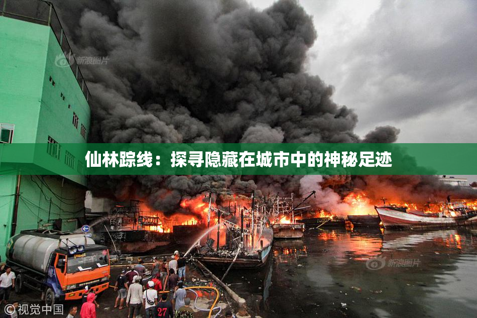 仙林踪线：探寻隐藏在城市中的神秘足迹
