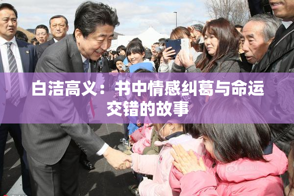 白洁高义：书中情感纠葛与命运交错的故事