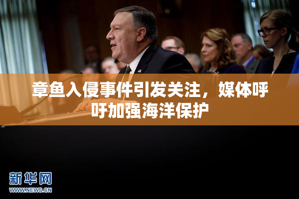 章鱼入侵事件引发关注，媒体呼吁加强海洋保护