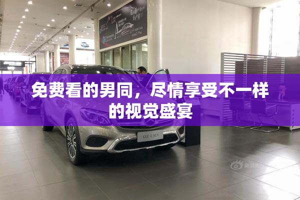 免费看的男同，尽情享受不一样的视觉盛宴
