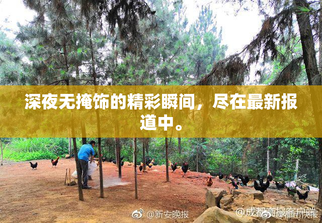 深夜无掩饰的精彩瞬间，尽在最新报道中。