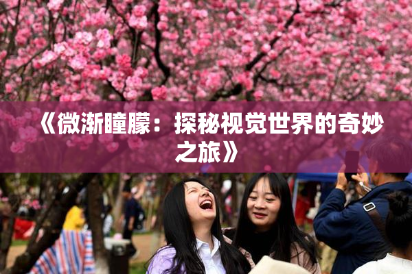 《微渐瞳朦：探秘视觉世界的奇妙之旅》