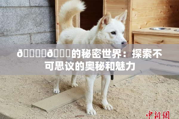 🔞‌🍌的秘密世界：探索不可思议的奥秘和魅力