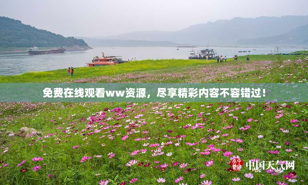 免费在线观看ww资源，尽享精彩内容不容错过！