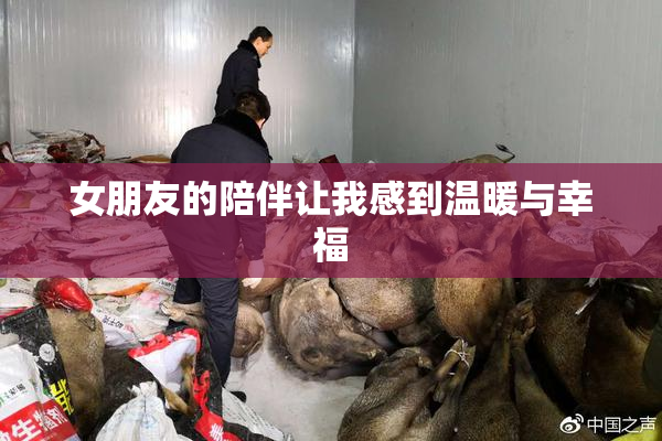 女朋友的陪伴让我感到温暖与幸福