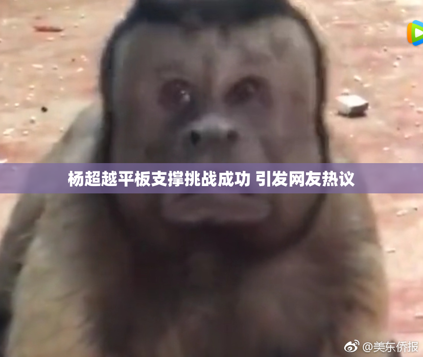 杨超越平板支撑挑战成功 引发网友热议