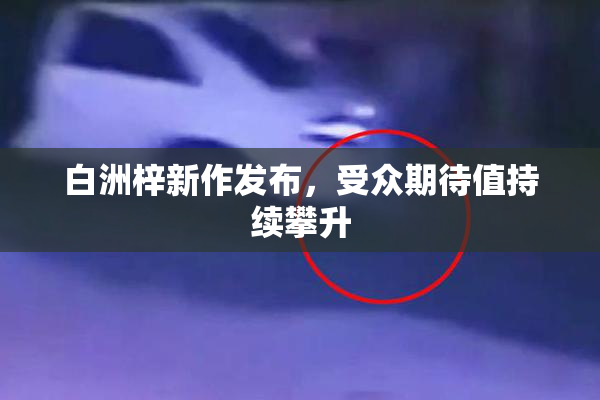白洲梓新作发布，受众期待值持续攀升