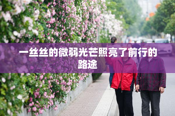 一丝丝的微弱光芒照亮了前行的路途