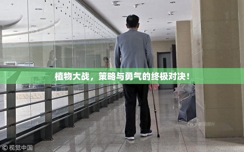 植物大战，策略与勇气的终极对决！