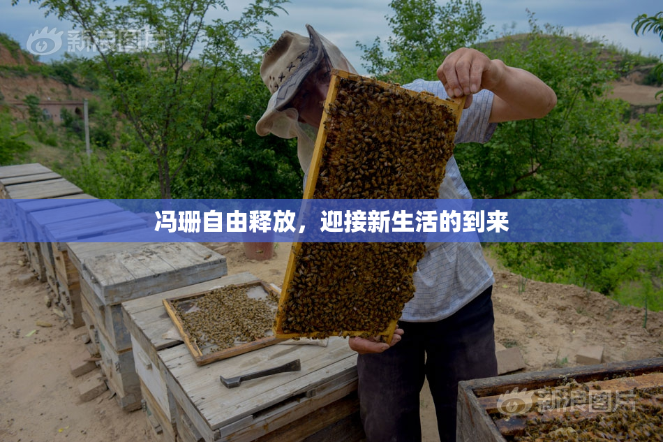冯珊自由释放，迎接新生活的到来