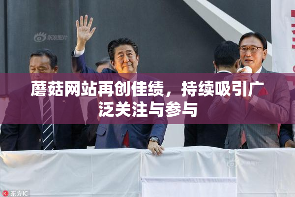 蘑菇网站再创佳绩，持续吸引广泛关注与参与