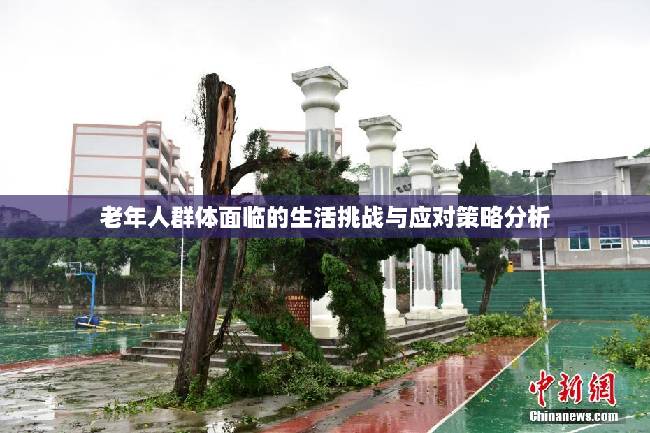 老年人群体面临的生活挑战与应对策略分析
