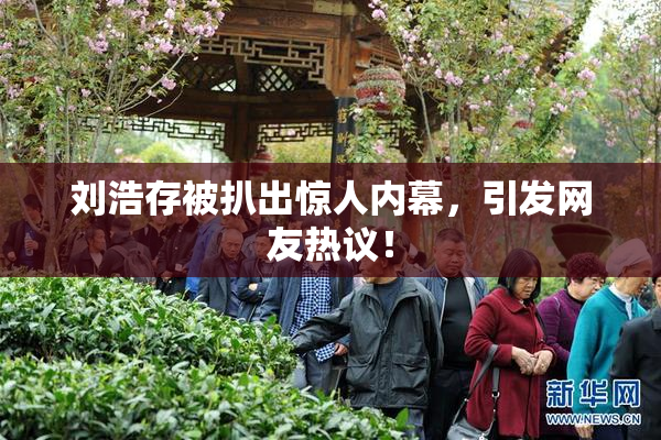 刘浩存被扒出惊人内幕，引发网友热议！