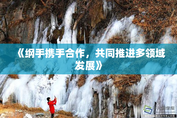 《纲手携手合作，共同推进多领域发展》