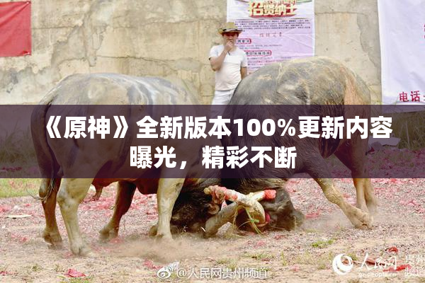 《原神》全新版本100%更新内容曝光，精彩不断